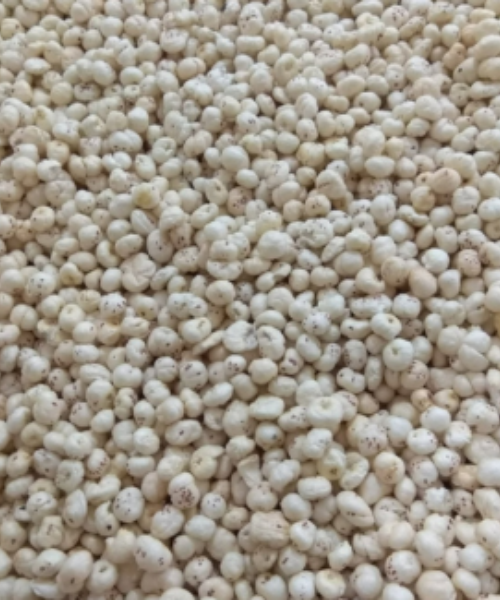 3 Suta Makhana